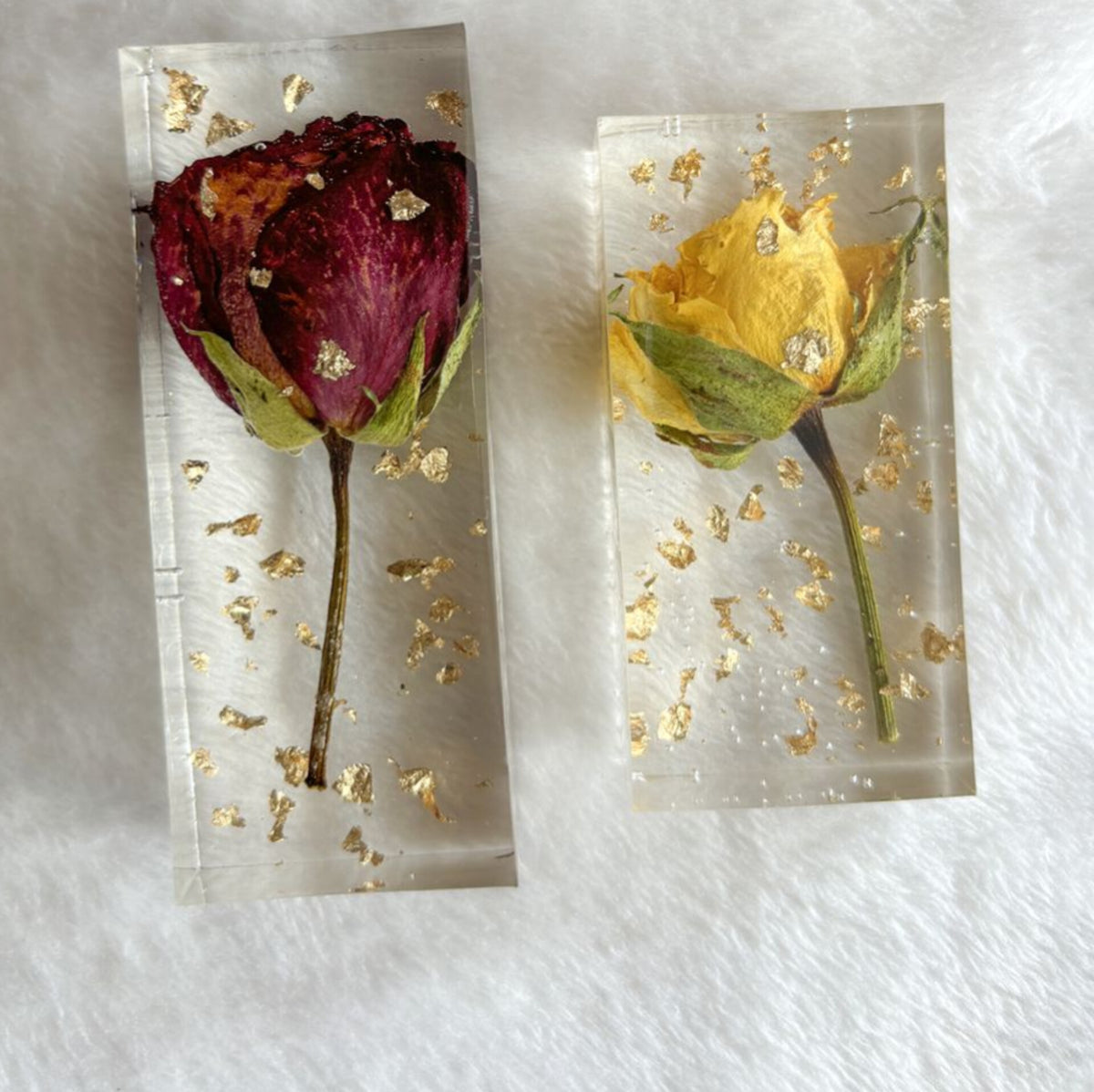 single rose preservation single rose preservation